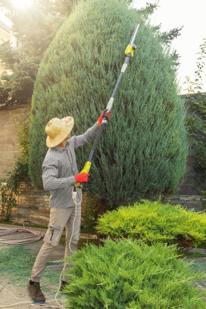 Best Lawn Irrigation Installation and Maintenance  in Pine Ridge At Crestwood, NJ